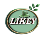 Likey Detergent Powder 100Gm